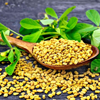 shope